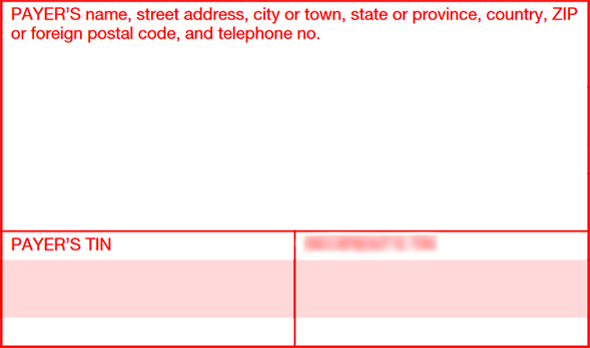 Payer details