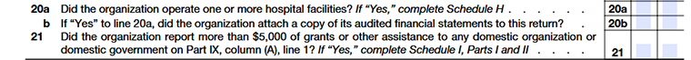 Form 990 Part IV Lines 20–21 hospital & domestic grant reporting questions