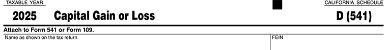 Schedule D (541) for Capital Gain or Loss - organization basic deatils