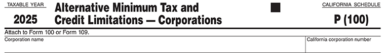 Schedule P (100) AMT and Credit limitations, Corporation details