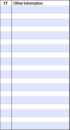 Schedule K-1 (Form 1120-S) Line 17 showing other information