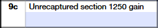 Schedule K-1 (Form 1065) Part III – Unrecaptured Section 1250 Gain