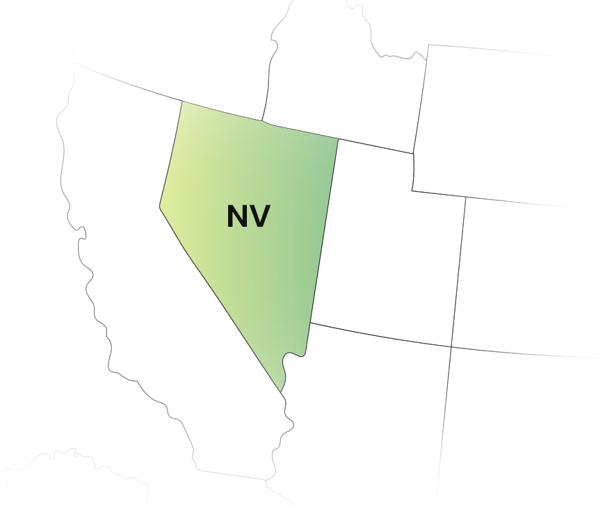 Effortless Form 1099 Filing in Nevada