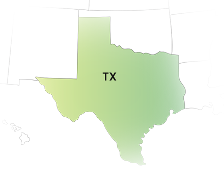 E-File Your Texas 1099 State Form with TaxZerone
