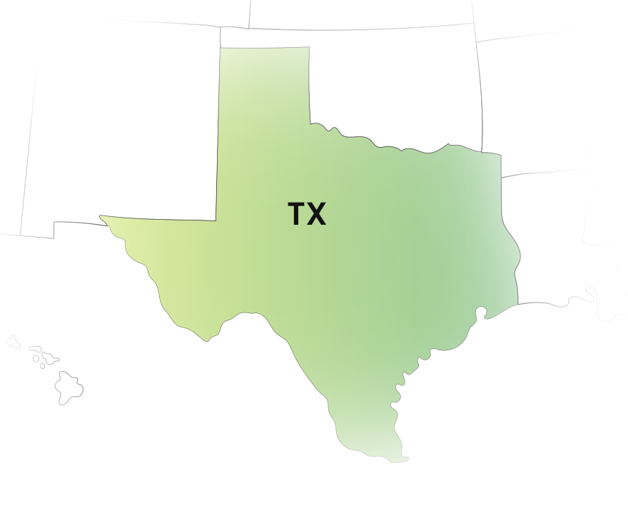 E-File Your Texas 1099 State Form with TaxZerone