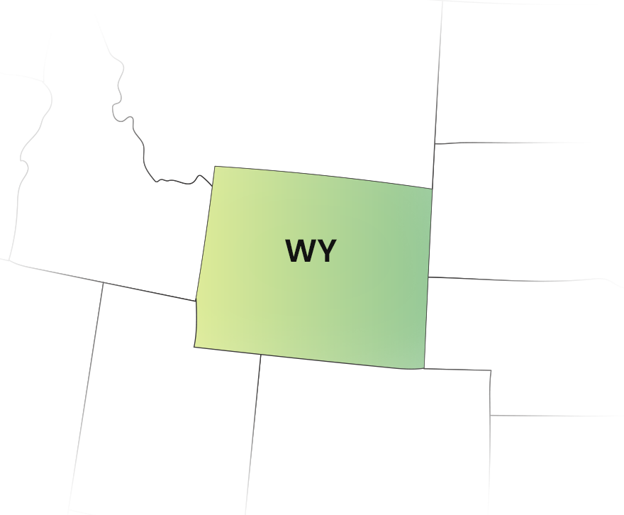Wyoming 1099 State E-Filing with TaxZerone